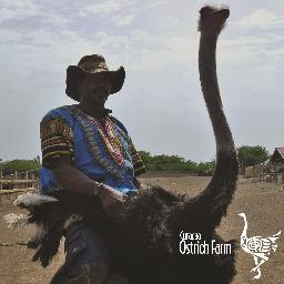 CuracaoOstrich's profile picture. Come to the Curacao Ostrich Farm for a fascinating tour! Take a look in our souvenirshop Art of Africa and have a lunch or dinner in Restaurant Zambezi.