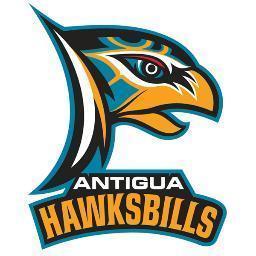 The official Caribbean Premier League Team for Antigua & Barbuda