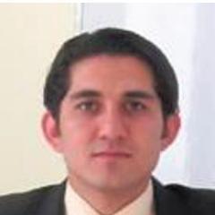 Researcher | Political analyst | Media Consultant | Teacher | Advisor -
Master's in Economics, University of Rome, Italy
