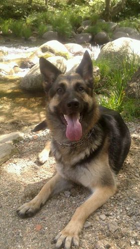 josecano_68's profile picture. 