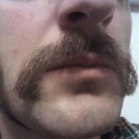 Guy Incognito (@moustachepride) Twitter profile photo