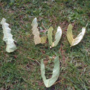 molly park - @krapyllom - Twitter