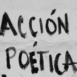 Acción Poética Colombia - Cartagena. Sin poesía no hay ciudad.