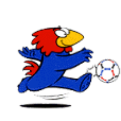 denisc54's profile picture. vive les poules, tout un concept