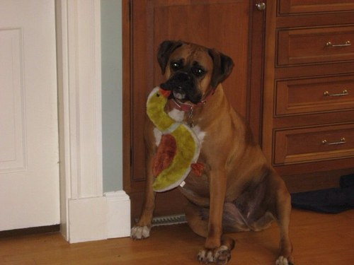 Trevcour's profile picture. 