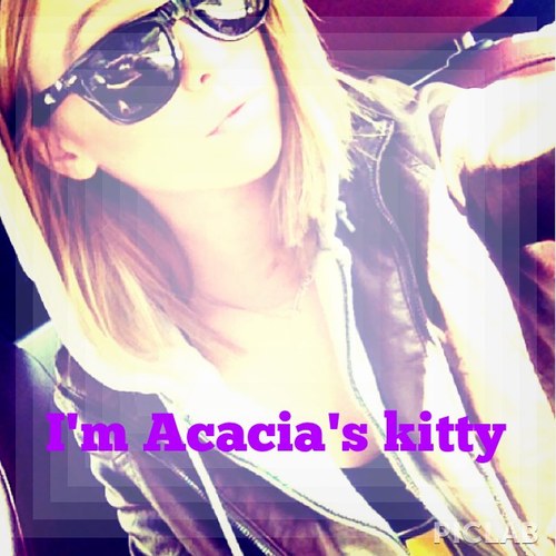 Acacia's kitty