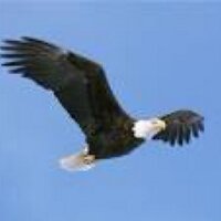 Montello School (@montelloschool) 's Twitter Profile Photo Montello School (@montelloschool) 's Twitter Profile Photo