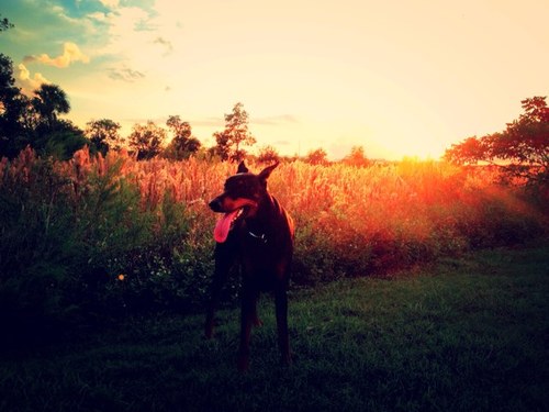 DSug's profile picture. 