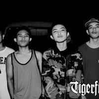 TIGERFIGHT HARDCORE (@tigerfight_hc) 's Twitter Profile