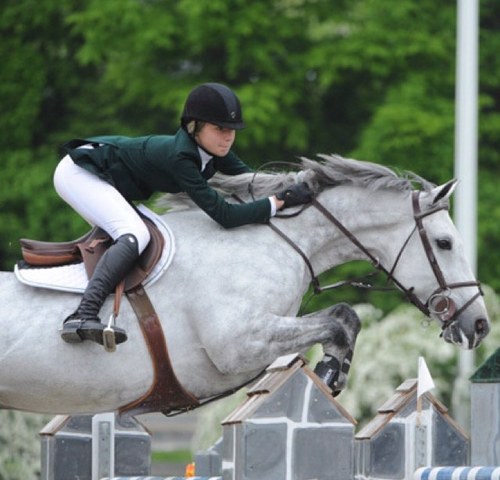 nice horses, big dreams, and expensive taste