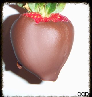 Chocolate Covered Edibles to your liking:) We are here to please those Chocolate cravings. We are Near Chicago IL. If you would like to order please contact us.