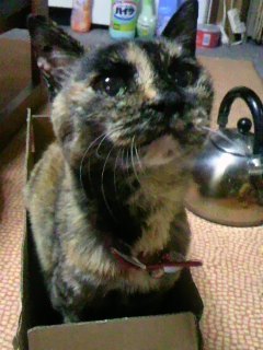 10ka042ki's profile picture. 