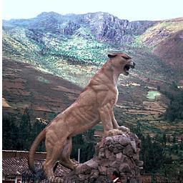 pumaglz's profile picture. 