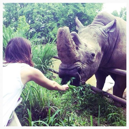 melrow619's profile picture. 