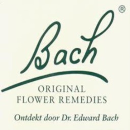 MiyokoMontoya2's profile picture. Ao Fimes.