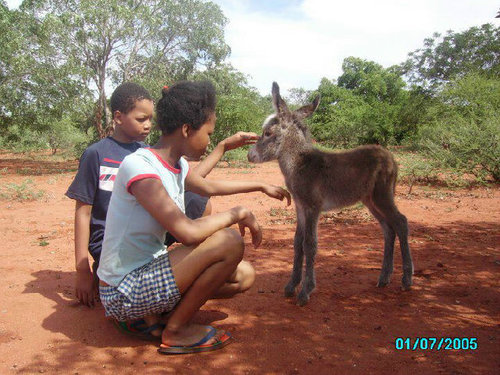 Putting Matabeleland rural people first #teamfollowback
