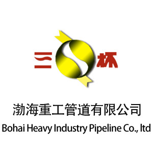 We specializes in high pressure alloy pipings,fittings and prefabricated pipes. Tel: +86 317 3028305   Fax: +86 317 3044584
E-mail:bohaizg86@gmail.com