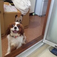 ๐ ๐ธ๐ ๐ธyso0119๐ ๐ธ๐ ๐ธ (@yso0119) 's Twitter Profile