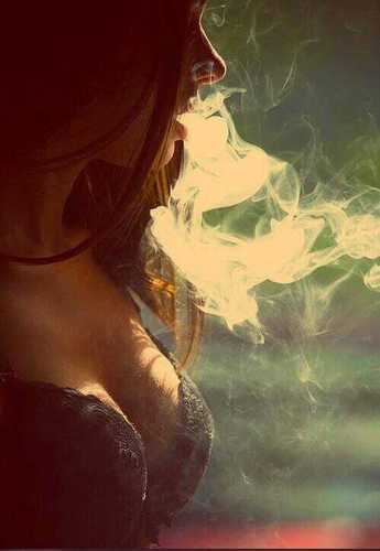 Weed.Sex.Music. Always #OnMyLevel #Stoner #PussyEater #Trippy #StayHigh #LiveFree