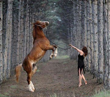 PoferQiesBIANCA's profile picture. L̶̲̥̅̊ọ̥V̶̲̥̅̊ε̲̣̣̣̥ ℳƳ GOD* BBM pin:2A6F57DD invite ℳƳ as j ℳƳ ken!*☺