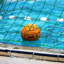 @BILD-Sportredakteur, Water Polo Referee, Berliner.