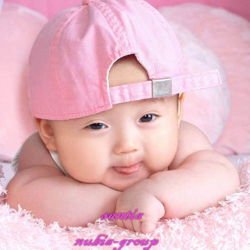 dishu just name is enough
