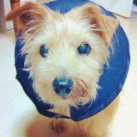 rick! (@rick_y_y) Twitter profile photo