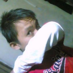 hostmetal's profile picture. Free WebHosting no Ads