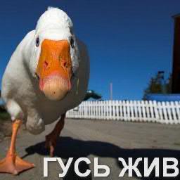 Совмещаем несовместимое: IT-технологии и cельское хозяйство. Делаем из виртуальной реальную ферму. newkolhoz.ru