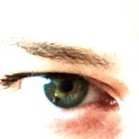 Martine Hoffmann, Dr (@martinehoffman2) 's Twitter Profile