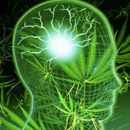 I use cannabis to relive chronic pain & to improve & enjoy life.