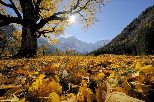 LUKY ME ; WORKING IN GLOBAL ATMOSTPHERES: POLITICS,HUMANITARIAN,ENVIRONMENT&HABITAT.