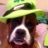 samson26's profile picture. 