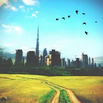 A_Elsuwaidi's profile picture. King Of kings★