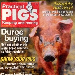 PracticalPigs Profile