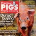 PracticalPigs (@practicalpigs) Twitter profile photo