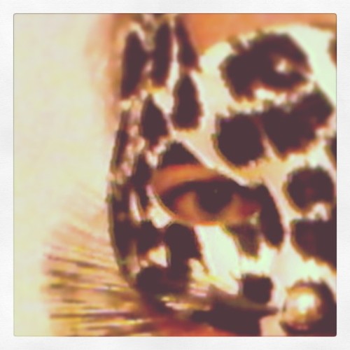 ansizh's profile picture. 