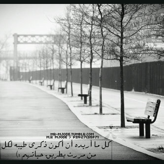 : سّـَ ': يَفوَتٌك : ﺂلكثيرُ منْ السَعآإدهَہ ﺂنْ گنتْ مَهٌتمّآ ﺑـَ ﺂلهمَوْمَ فَقّط ♥✉̸'*̨