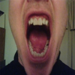 JulienneFrankli's profile picture. اناطلب فى كلية اداب المنصورة واعزب واافكرفى الارتباط واعشق السفر والترحال ونفسى اسافر برة