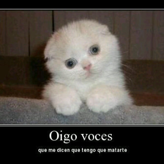 justiuni19's profile picture. 