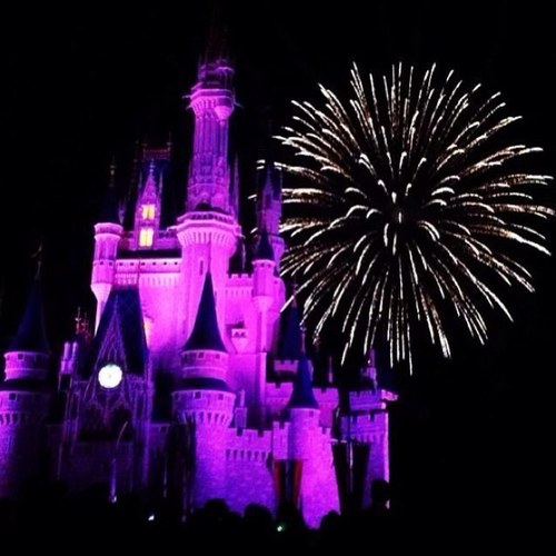 Confessions from Walt Disney World. These tweets do not reflect the Walt Disney Company. #WDWConfessions