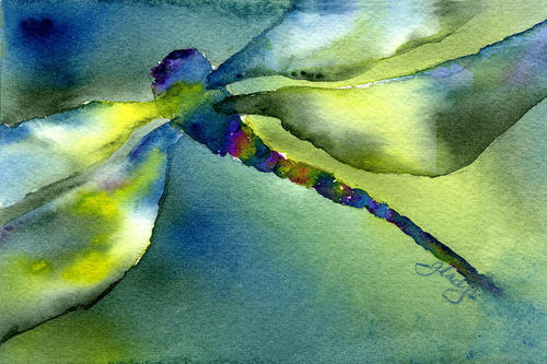 dickinsjw's profile picture. 