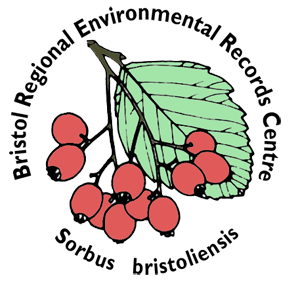 Environmental Data for the West of England Area (BaNES, Bristol, SGlos, NSom). 
Send us a record: we need Who/What/Where/When.
Tweets by Abi (p/t)