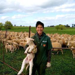 Veterinarian. Public health, epidemiology and risk analysis. Strengthening health systems through a One Health approach in Timor-Leste.🐔🐮🐷⚕️