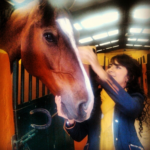 Ninnagr's profile picture. 