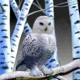 Avoir une vie facile est un but difficile à atteindre! La vie est une aventure dont on ne sort pas vivant!