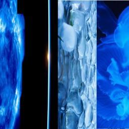Market opportunities in unexplored territories such as deep sea, earth underground, space, deep forest.