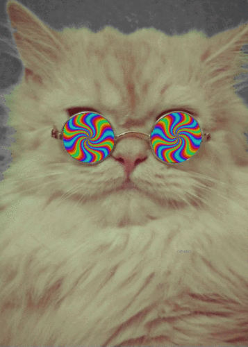 Meowwwh....