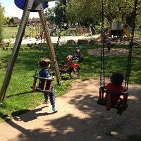 French Weir Park (@fofwp) Twitter profile photo