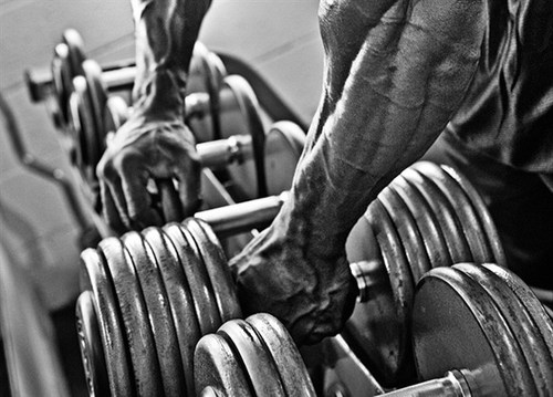 trainforgains's profile picture. Achieve a happier you